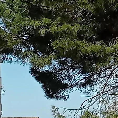 La Casa Di Lilia *